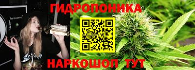 прущие грибы Аргун