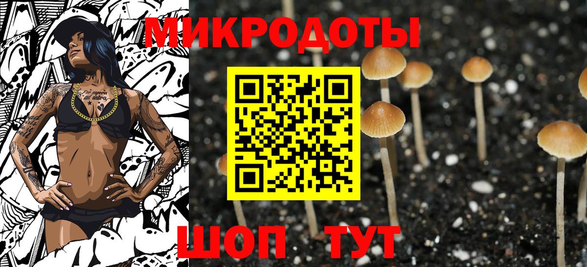 Псилоцибиновые грибы Psilocybe Барнаул
