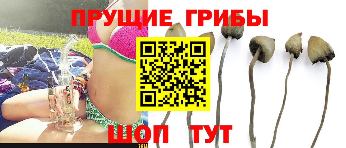 Галлюциногенные грибы GOLDEN TEACHER  Вход с VPN  Барнаул 